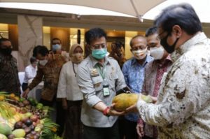 Airlangga Airlangga meninjau buah-buhan yang dipamerkan di Launching Gelar Buah Nusantara (GBN) ke 5 di, Senin (10/8/2020).