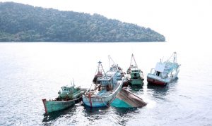 kapal nelayan asing yang ditangkap karena mencuri ikan Kapal nelayan asing yang ditangkap karena mencuri ikan tahun lalu. Kedepan pemerintah merencanakan akan menyita dan menghibahkan ke nelayan untuk setiap kapal ikan asing yang ditangkap karena mencuri ikan.