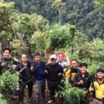 lahan ganda seluas 2 hektar yang ditemukan aparat dari Polda bengkulu lahan ganda seluas 2 hektar yang ditemukan aparat dari Polda bengkulu. (foto: bengkulutoday.com)