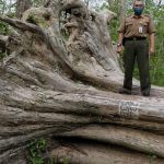 SB-Perhutani-Jati-Alam-Ikon-Wisata-Blora-buk-Brosot-03