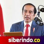 presiden jokowi----okeeeh