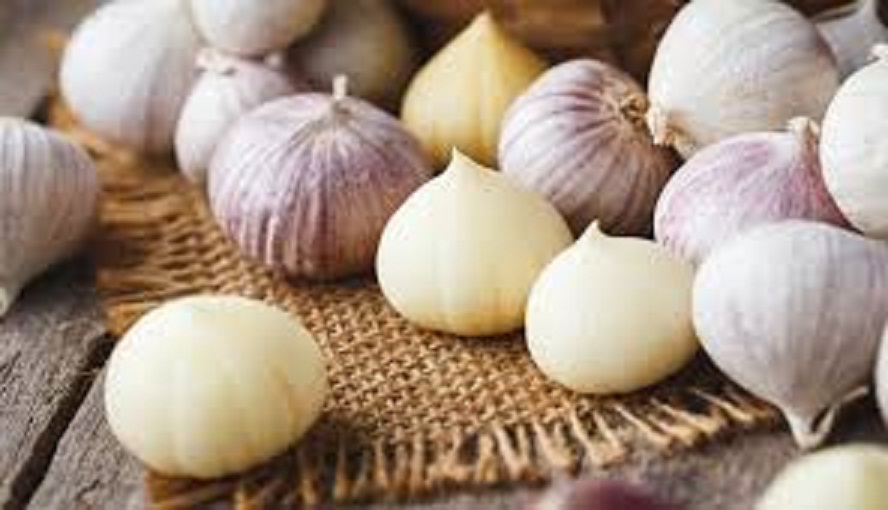 Khasiat Dan Manfaat Bawang Putih Tunggal Untuk Tubuh Kita Siberindo Co Khasiat Dan Manfaat Bawang Putih Tunggal Untuk Tubuh Kita Siberindo Co