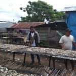 IMG-20201201-WA0080-768x576