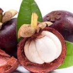 Buah Manggis (2)