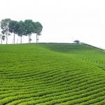 e4a0476d-d2f3-4513-b560-7e252a1a5506