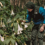 Anji Terima Jalani Vonis 4 Bulan Rehabilitasi