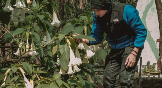 Anji Terima Jalani Vonis 4 Bulan Rehabilitasi