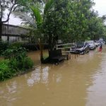 Manggis-OPEN-768x1024