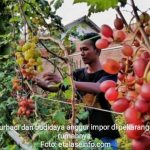 Screenshot_20210804_093450