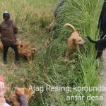 Screenshot_20210809_155742