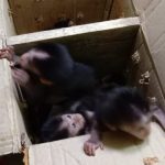 38e755ef-251c-447b-ac44-03e6d22f759e-768x360