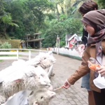 Lesti Kejora digosipkan hamil