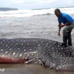 Screenshot_20210927_132834