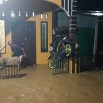 paceko-terendam-768x432