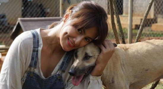 Davina Veronica, Sherina dan Hotman Paris Kecam Kematian Anjing Canon