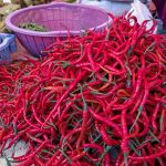 bee73e94-efbc-436a-a801-38fc451ebd94