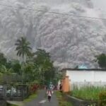 Screenshot_20211204_180401