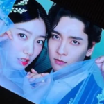 Park Shin Hye Park Shin Hye & Choi Tae Joon Menikah Hari Ini