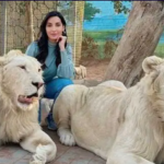 Nora Fatehi Akun Instagram Nora Fatehi dengan 37,6 Pengikut Hilang