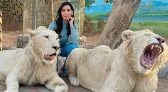 Akun Instagram Nora Fatehi dengan 37,6 Pengikut Hilang