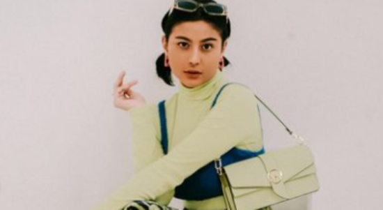 Giliran Awkarin Sindir Wirda Mansyur