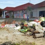 IMG-20220319-WA0031-768x576