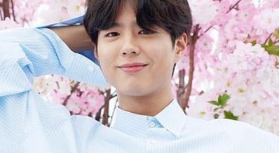 Usai Wamil, Park Bo Gum Pandu Baeksang Arts Awards