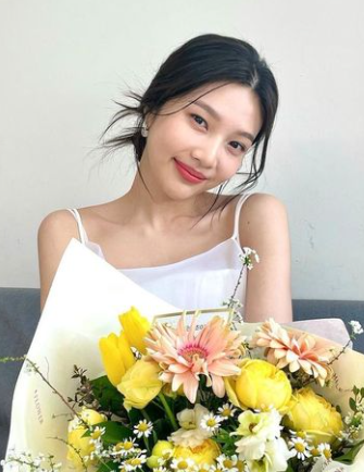 Unexpected Country Diary, Drama Baru Joy RED VELVET