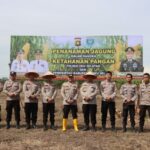 IMG-20220603-WA0124-768x512