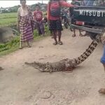 IMG-20220713-WA0060-1-768x432