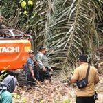 IMG-20220727-WA0071-768x431