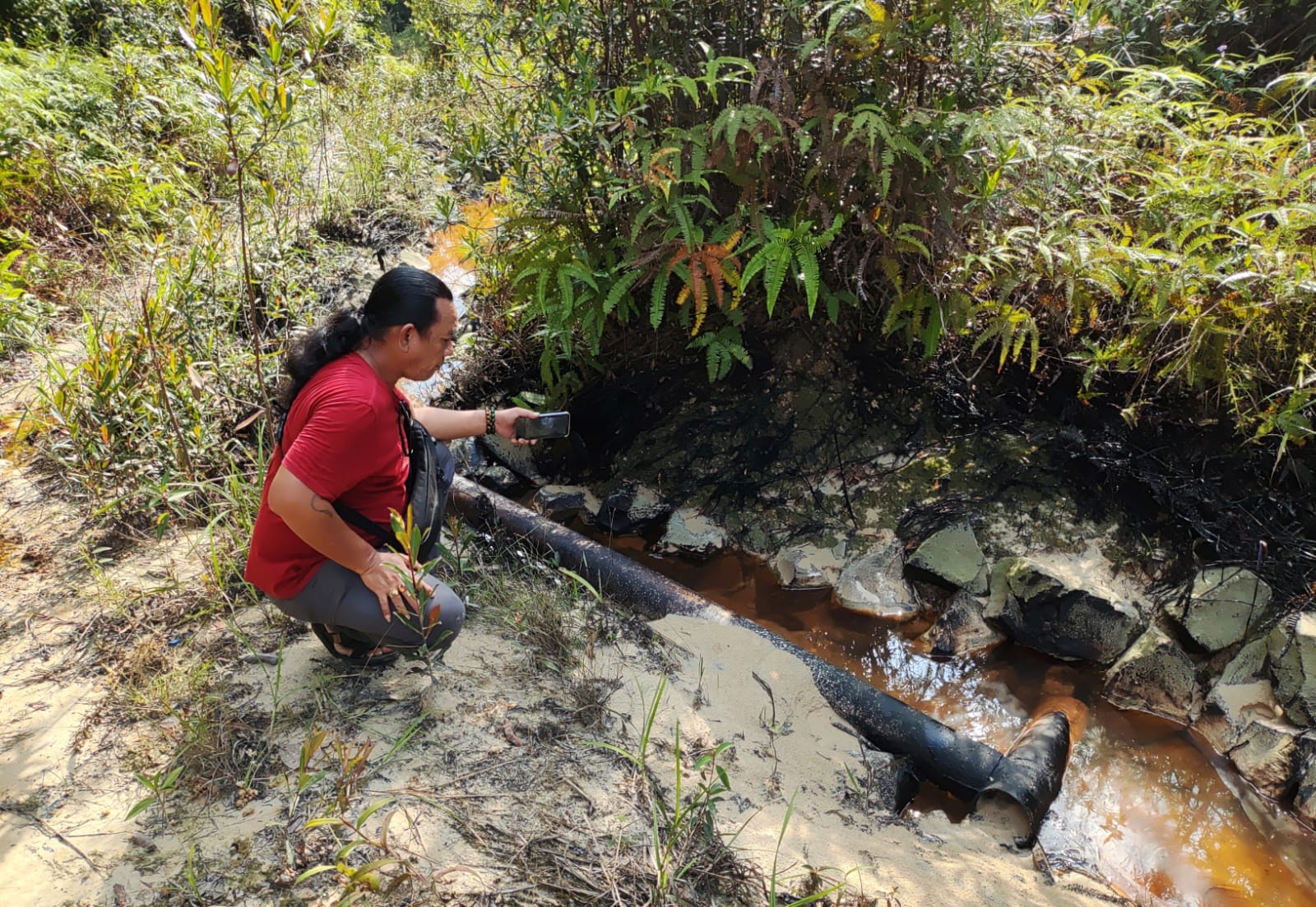 Lima Tahun Alih Kelola Blok Rokan, Pemulihan Limbah B3 di Tahura SSH Tak Kunjung Tuntas