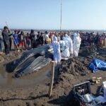 kkp-bersama-tim-gabungan-tangani-paus-bungkuk-terdampar-di-pantai-perancak-bali-AMEj