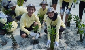 mangrove (2)
