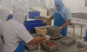 sertifikasi-mutu-kkp-dorong-belut-kalimantan-tembus-pasar-global-y9G6