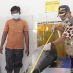 tarif-0-persen-tuna-cakalang-ke-jepang-kkp-jaga-kualitas-rantai-produksi-perikanan-E0MW