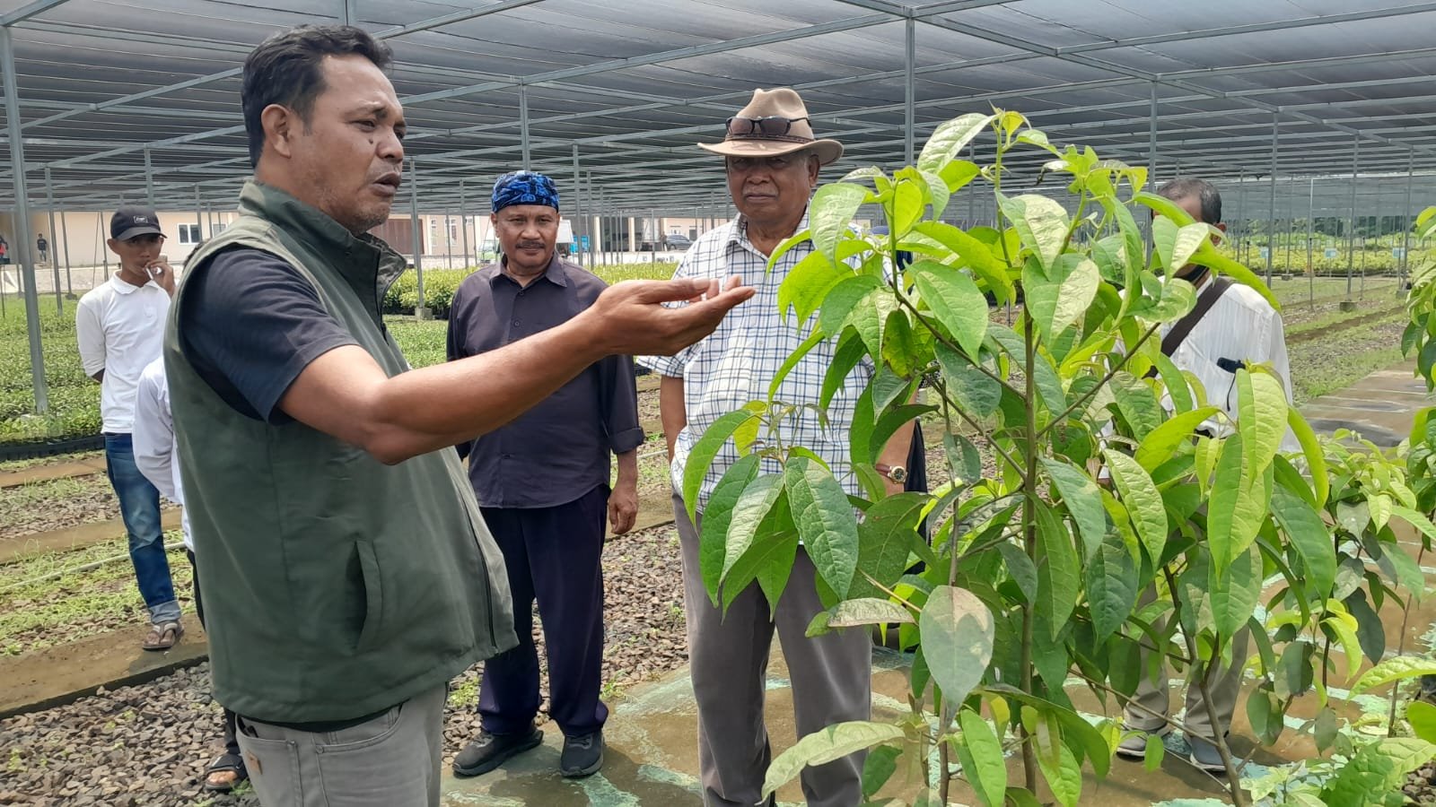 Baduy Lestari Mulai Bergerak, 70.000 Bibit Siap Didistribusikan ke Tanah Ulayat Baduy